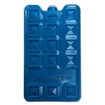 Аккумулятор холода Green Glade, 450 г (kastd) Аккумулятор холода Green Glade, 450 г (kastd)