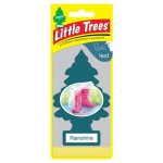 Ароматизатор в машину Little Trees Весенний дождь, 10 г (kastd)