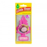 Ароматизатор в машину Little Trees Драгонфрут, 10 г (kastd)
