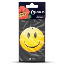 Ароматизатор автомобильный Grass Smile Гибискус (kastd) в магазинах Ашан