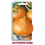 Семена Лук репчатый Поиск Штуттгартер ризен, 1 г (kastd)