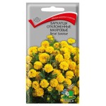 Семена Бархатцы Поиск Петит золотые махровые, 0,4 г (kastd)