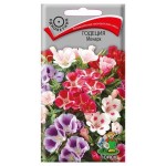 Семена Годеция Поиск Монарх, 0,3 г (kastd)