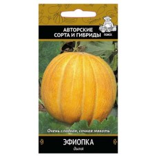 Семена Дыня Поиск Эфиопка, 15 шт (kastd) в магазинах Ашан