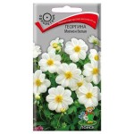 Семена Георгина Поиск Мигнон белая, 0,2 г (kastd)