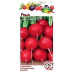 Семена Редис Гавриш Аскания, 2 г (kastd) Семена Редис Гавриш Аскания, 2 г (kastd)