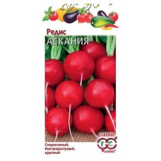 Семена Редис Гавриш Аскания, 2 г (kastd) в магазинах Ашан