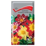 Семена Георгина Поиск Коларетте дэнди микс, 0,2 г (kastd)