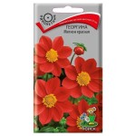 Семена Георгина Поиск Мигнон красная, 0,2 г (kastd)