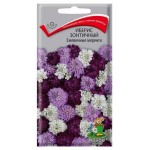 Семена Иберис Поиск Меренги ежевичный зонтичный, 0,1 г (kastd)