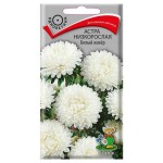 Семена Астра низкорослая Поиск Белый ковер, 0,2 г (kastd)