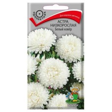 Семена Астра низкорослая Поиск Белый ковер, 0,2 г (kastd) в магазинах Ашан