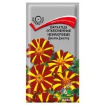 Семена Бархатцы отклоненные махровые Поиск Джолли, 0,4 г (kastd)