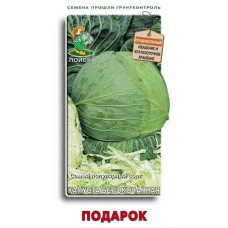 Семена Капуста Поиск Подарок, 0,5 г (kastd) в магазинах Ашан