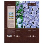 Саженцы Гортензия Цветочный альянс голубая (kastd)