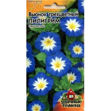 Семена Вьюнок Удачные семена Трехцвет пилигрим, 0,5 г (kastd) в магазинах Ашан