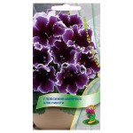 Семена Глоксения Поиск Импресс блю пикоти, 5 шт (kastd)