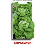 Семена Салат Поиск Аттракцион, 1 г (kastd) Семена Салат Поиск Аттракцион, 1 г (kastd)