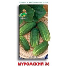 Семена Огурец Поиск Муромский, 20 шт (kastd) в магазинах Ашан