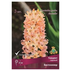 Гиацинт Поиск Бестселлер, 3 шт (kastd) в магазинах Ашан