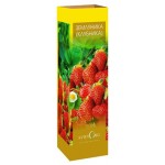 Саженцы Земляника садовая Вима Рима, 3 шт (kastd)