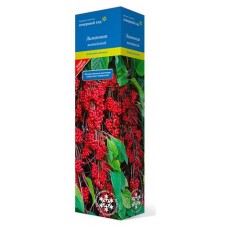 Лимонник китайский Поиск (kastd) в магазинах Ашан