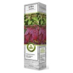 Клен Поиск Гиннала (kastd)