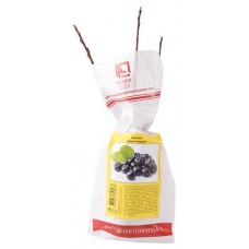 Арония Поиск (kastd) в магазинах Ашан