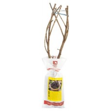 Йошта Поиск (kastd) в магазинах Ашан