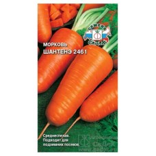Семена СеДеК Морковь Шантенэ 2461 (kastd) в магазинах Ашан