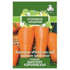 Семена Морковь Поиск Шантенэ Королевская, 2 г (kastd) в магазинах Ашан