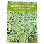 Саженцы Nali Дерен белый элегантиссима (kastd)