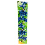 Саженцы Nali Жимолость микс 6 сортов (kastd)