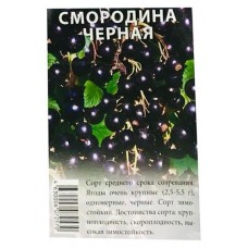 Саженцы Nali Смородина микс (kastd) в магазинах Ашан