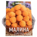 Саженцы Поиск Малина, 1 шт (kastd)