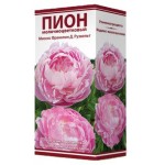 Луковицы Поиск Птон травянистый Миссис Франклин Д. Рузвельт, 1 шт (kastd)