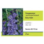 Луковичные цветы Поиск Гладиолус, 2 шт (kastd)