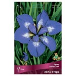 Луковичные цветы Поиск Ирис Сибирский микс, 1 шт (kastd)