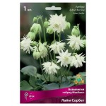 Луковичные цветы Поиск Многолетник микс, 1 шт (kastd)