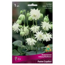 Луковичные цветы Поиск Многолетник микс, 1 шт (kastd) в магазинах Ашан