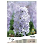 Гиацинт садовый Поиск Блу Айз, 2 шт (kastd)