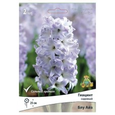Гиацинт садовый Поиск Блу Айз, 2 шт (kastd) в магазинах Ашан