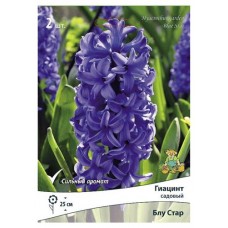 Гиацинт садовый Поиск Блу Стар, 2 шт (kastd) в магазинах Ашан