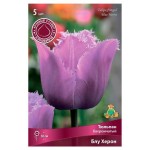 Луковицы Поиск Тюльпан бахромчатый Блу херон, 5 шт (kastd)