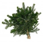 Букет из веток пихты сибирской, 5-7 веток (kastd)