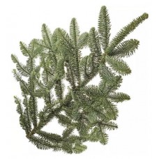 Ветка пихты Нобилис Экстра, 30-90 см (kastd) в магазинах Ашан