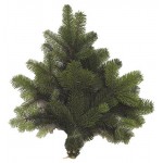 Букетик из пихта Нордмана, 500-600 г (kastd)