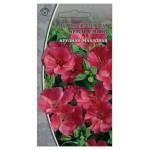 Семена Ваше хозяйство Годеция Красное вино, 0,3 г (kastd)