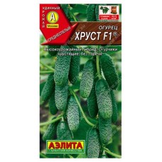 Семена Аэлита Огурец Хруст F1 (kastd) в магазинах Ашан