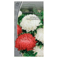 Семена Ваше хозяйство Астра Красное и белое смесь, 0,2 г (kastd) в магазинах Ашан